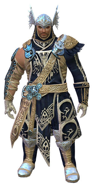 File:Illustrious armor (medium) norn male front.jpg