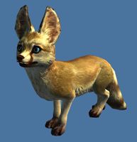 Mini Desert Fox.jpg