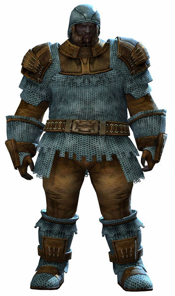 File:Worn Chain armor norn male front.jpg