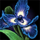 Ascalonian Royal Iris.png