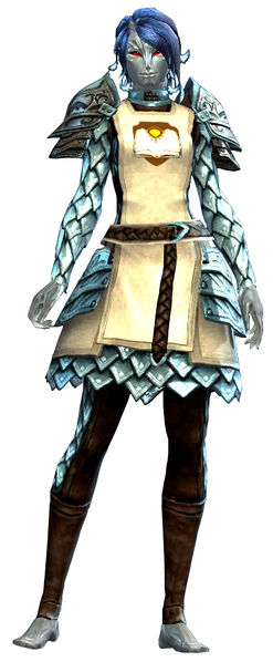 File:Guild Defender armor sylvari female front.jpg
