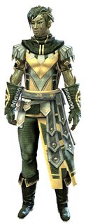 Vigil's Honor armor (light) sylvari male front.jpg