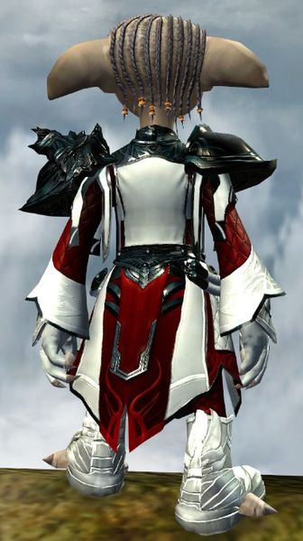 File:Ornate Guild armor (light) asura male back.jpg