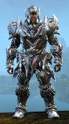 Perfected Envoy armor (heavy) norn male front.jpg