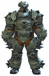 Studded Plate armor norn male front.jpg