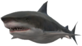 Shark bestiary.png