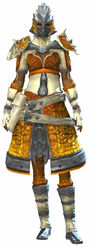 Emblazoned armor norn female front.jpg