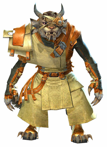 File:Leather armor charr female front.jpg
