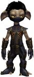 True Assassin's Guise Outfit asura male front.jpg