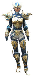 Glorious armor (medium) norn female front.jpg