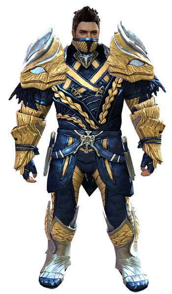 File:Strider's armor norn male front.jpg