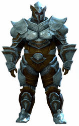 Heavy Plate armor norn male front.jpg
