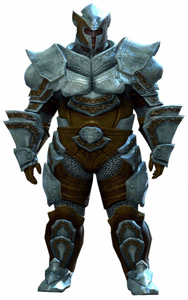 File:Heavy Plate armor norn male front.jpg