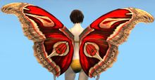 Moth Wings Backpack.jpg