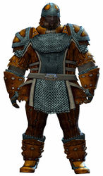 Militia armor norn male front.jpg