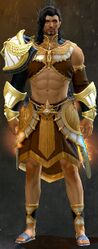 Sanctified armor human male front.jpg
