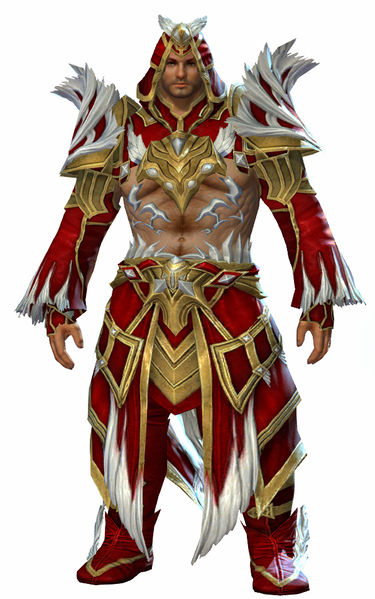File:Feathered armor norn male front.jpg