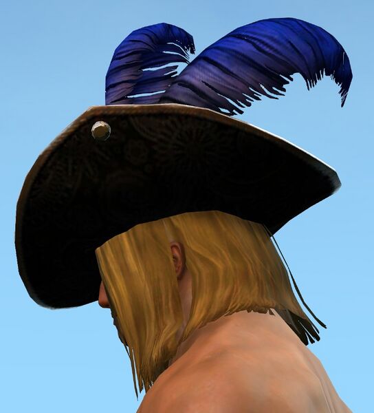 File:Swaggering Hat male norn side.jpg