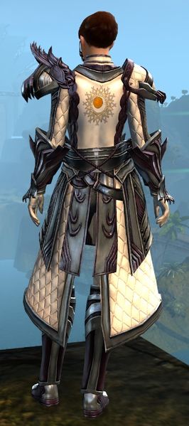 File:Ornate Guild armor (medium) norn female back.jpg