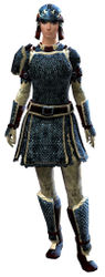 Worn Scale armor norn female front.jpg
