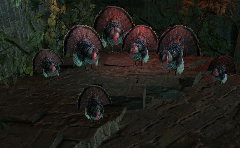 File:Hidden turkeys3.jpg