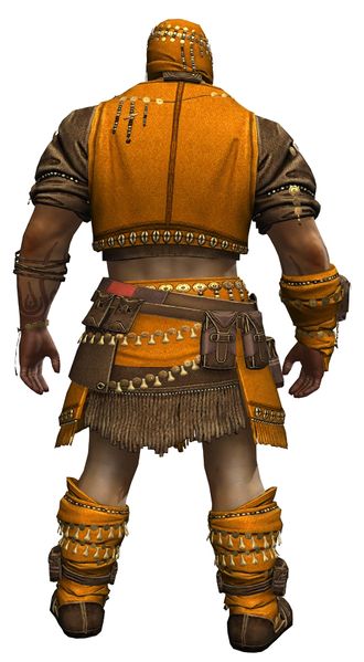 File:Ritualist Outfit norn male back.jpg