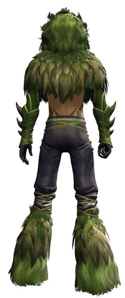 File:Primal Warden Outfit human male back.jpg