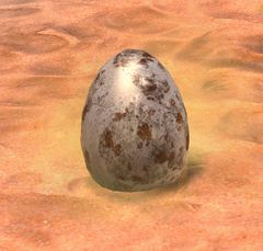 Hatching Egg.jpg