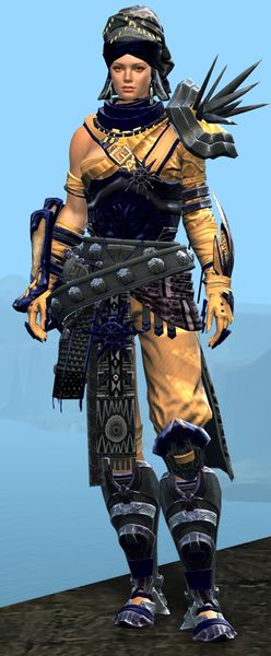 File:Spearmarshal's armor (heavy) norn female front.jpg