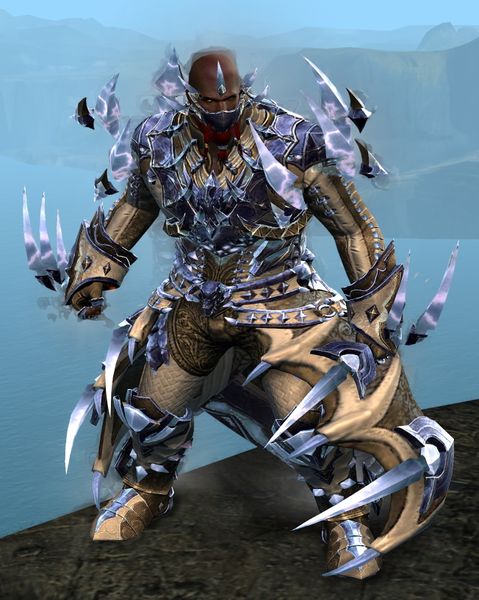 File:Perfected Envoy armor (light) norn male front in combat.jpg