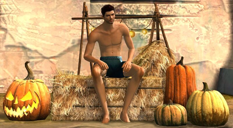 File:Festive Harvest Chair human male.jpg