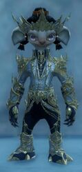 Obsidian armor (light) asura male front.jpg