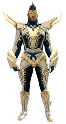Profane armor human male front.jpg