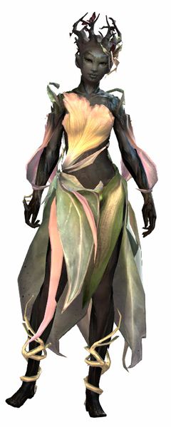 File:Orchid armor sylvari female front.jpg