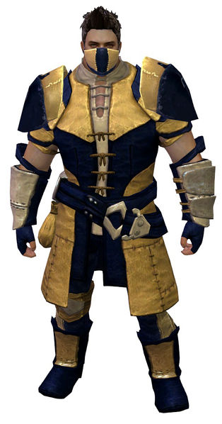 File:Rawhide armor norn male front.jpg
