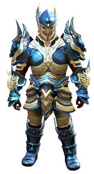 Glorious armor (heavy) norn male front.jpg