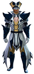 Masquerade armor human male front.jpg