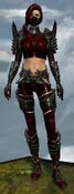 True Assassin's Guise Outfit norn female front.jpg