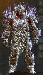 Etherbound armor norn male front.jpg