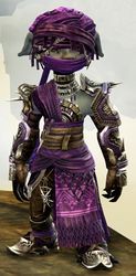 Spearmarshal's armor (medium) asura male front.jpg