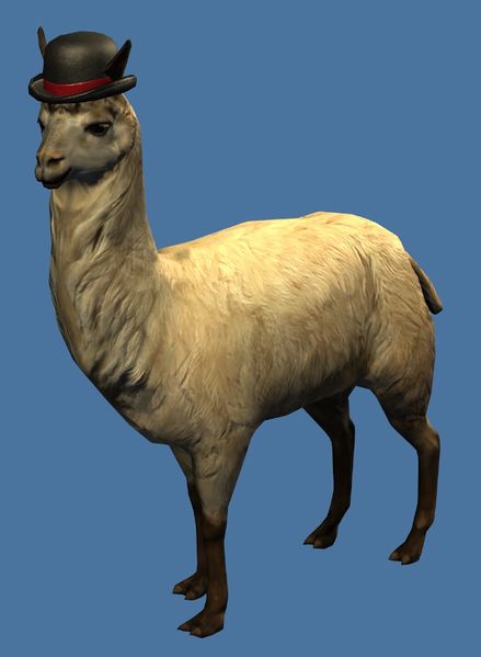 File:Mini Fancy Llama.jpg