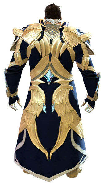 File:Council Watch armor norn male back.jpg