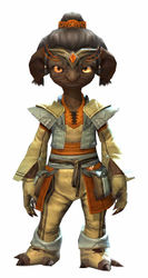 Country armor asura male front.jpg