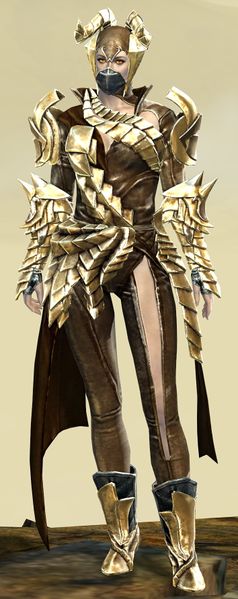 File:Mist Shard armor (medium) norn female front.jpg