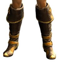 Swaggering Boots.jpg