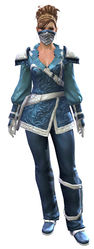 Duelist armor norn female front.jpg