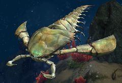 Sea Scorpion.jpg