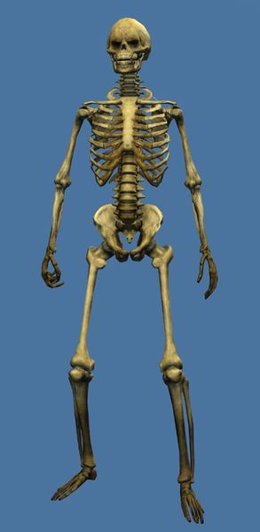 File:Mini Spooky Skeleton.jpg