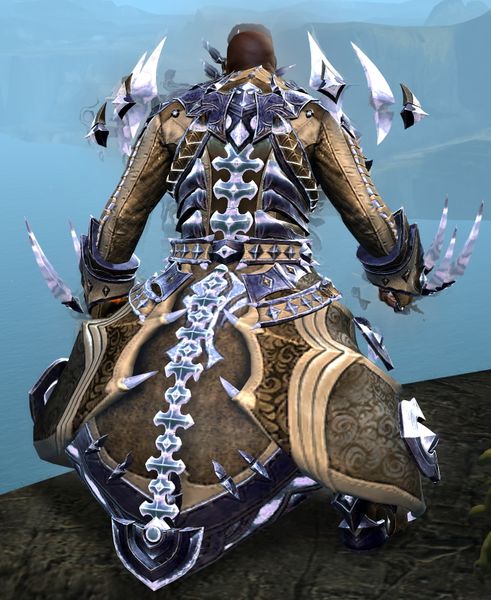 File:Perfected Envoy armor (light) norn male back in combat.jpg