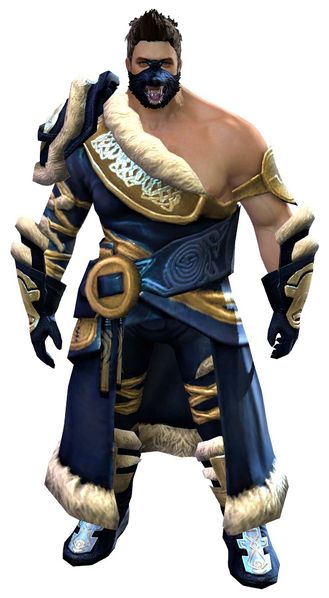 File:Wolfborn armor norn male front.jpg